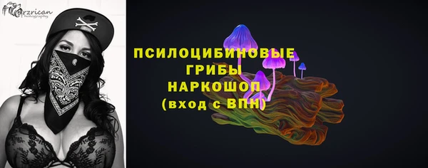 ГАЛЛЮЦИНОГЕННЫЕ ГРИБЫ Алексин