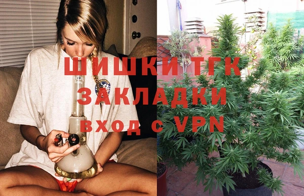 ГАЛЛЮЦИНОГЕННЫЕ ГРИБЫ Алексин