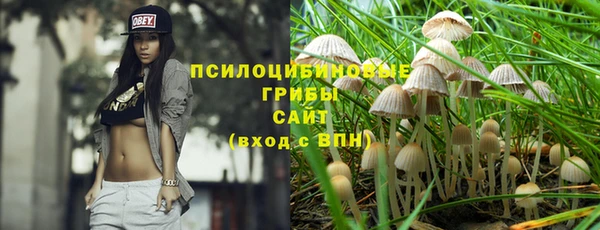 ГАЛЛЮЦИНОГЕННЫЕ ГРИБЫ Алексин