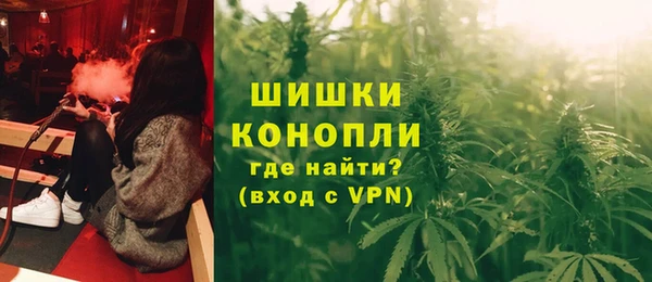 ГАЛЛЮЦИНОГЕННЫЕ ГРИБЫ Алексин
